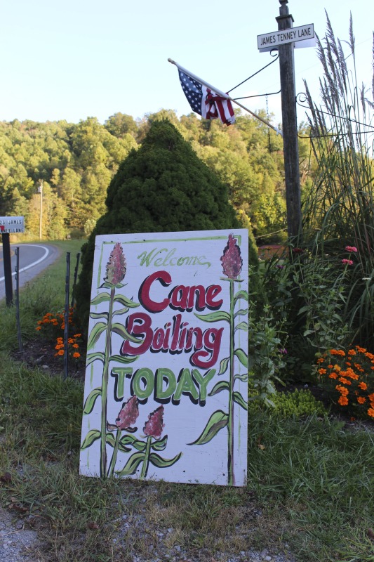 Appalachian Acres in Tallmansville, West Virginia, is owned and operated by Donnie Tenney and Lorelie Nicolas-Tenney. On September 28, 2017, they gathered with family and friends, including Nicolas-Tenney's mother Liz Villegas, seedsaver and farmer Charlie Radabaugh (of Radabaugh Farm in Buckhannon, WV), and seedsaver, farmer, and chef Mike Costello (of Lost Creek Farm in Lost Creek, WV), to harvest, process and boil sorghum into syrup.