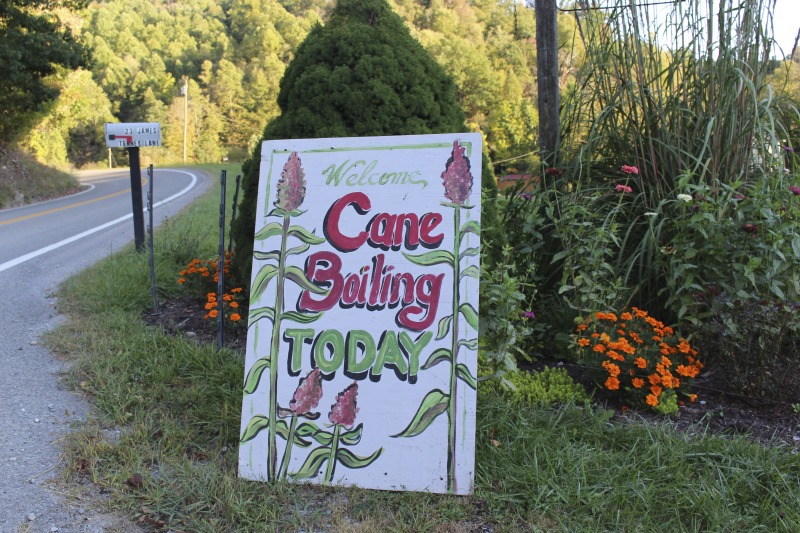 ["Appalachian Acres in Tallmansville, West Virginia, is owned and operated by Donnie Tenney and Lorelie Nicolas-Tenney. On September 28, 2017, they gathered with family and friends, including Nicolas-Tenney's mother Liz Villegas, seedsaver and farmer Charlie Radabaugh (of Radabaugh Farm in Buckhannon, WV), and seedsaver, farmer, and chef Mike Costello (of Lost Creek Farm in Lost Creek, WV), to harvest, process and boil sorghum into syrup."]%