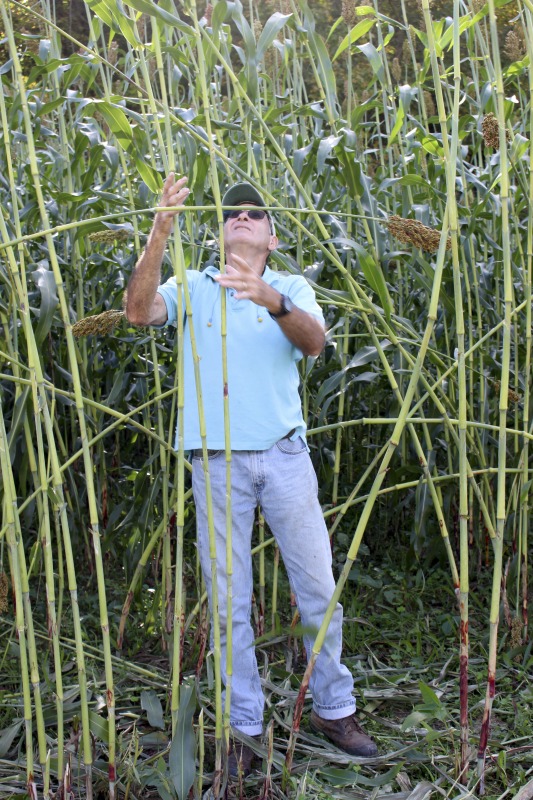 Appalachian Acres in Tallmansville, West Virginia, is owned and operated by Donnie Tenney and Lorelie Nicolas-Tenney. On September 28, 2017, they gathered with family and friends, including Nicolas-Tenney's mother Liz Villegas, seedsaver and farmer Charlie Radabaugh (of Radabaugh Farm in Buckhannon, WV), and seedsaver, farmer, and chef Mike Costello (of Lost Creek Farm in Lost Creek, WV), to harvest, process and boil sorghum into syrup.