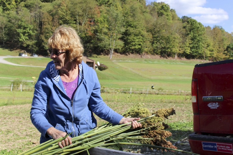 Appalachian Acres in Tallmansville, West Virginia, is owned and operated by Donnie Tenney and Lorelie Nicolas-Tenney. On September 28, 2017, they gathered with family and friends, including Nicolas-Tenney's mother Liz Villegas, seedsaver and farmer Charlie Radabaugh (of Radabaugh Farm in Buckhannon, WV), and seedsaver, farmer, and chef Mike Costello (of Lost Creek Farm in Lost Creek, WV), to harvest, process and boil sorghum into syrup.