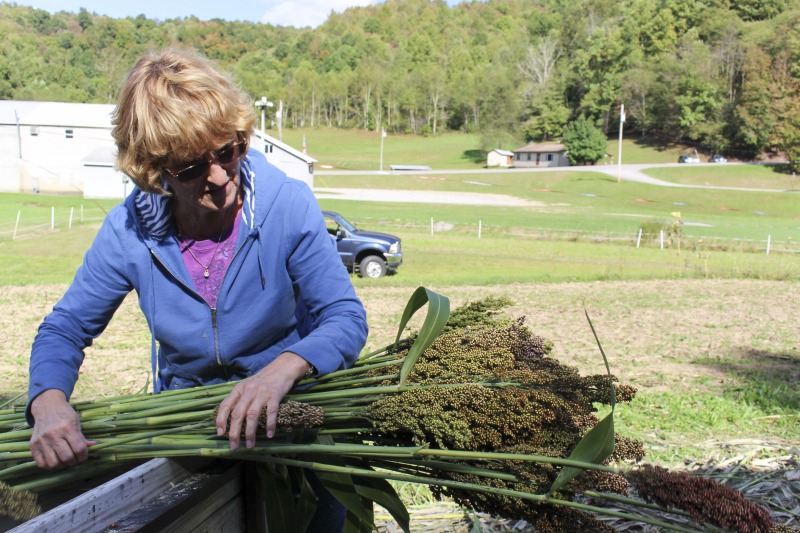 ["Appalachian Acres in Tallmansville, West Virginia, is owned and operated by Donnie Tenney and Lorelie Nicolas-Tenney. On September 28, 2017, they gathered with family and friends, including Nicolas-Tenney's mother Liz Villegas, seedsaver and farmer Charlie Radabaugh (of Radabaugh Farm in Buckhannon, WV), and seedsaver, farmer, and chef Mike Costello (of Lost Creek Farm in Lost Creek, WV), to harvest, process and boil sorghum into syrup."]%