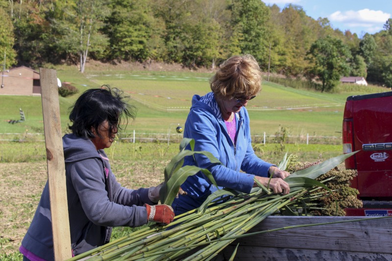 ["Appalachian Acres in Tallmansville, West Virginia, is owned and operated by Donnie Tenney and Lorelie Nicolas-Tenney. On September 28, 2017, they gathered with family and friends, including Nicolas-Tenney's mother Liz Villegas, seedsaver and farmer Charlie Radabaugh (of Radabaugh Farm in Buckhannon, WV), and seedsaver, farmer, and chef Mike Costello (of Lost Creek Farm in Lost Creek, WV), to harvest, process and boil sorghum into syrup."]%