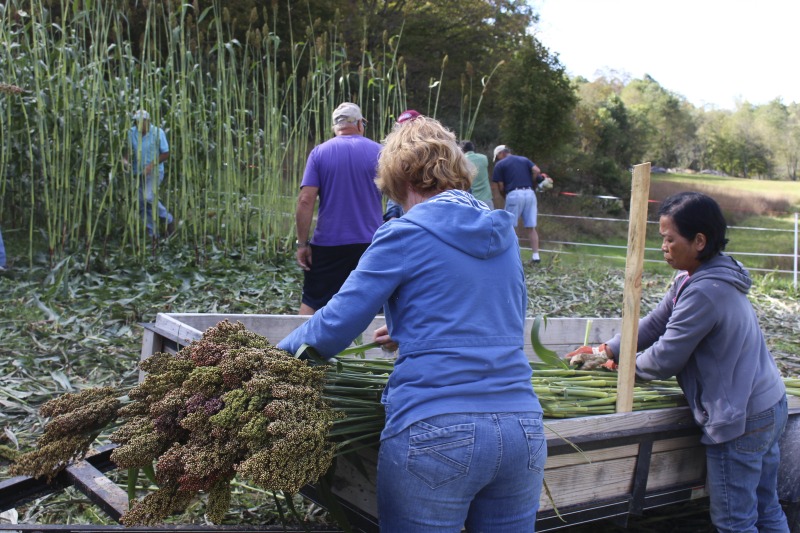 ["Appalachian Acres in Tallmansville, West Virginia, is owned and operated by Donnie Tenney and Lorelie Nicolas-Tenney. On September 28, 2017, they gathered with family and friends, including Nicolas-Tenney's mother Liz Villegas, seedsaver and farmer Charlie Radabaugh (of Radabaugh Farm in Buckhannon, WV), and seedsaver, farmer, and chef Mike Costello (of Lost Creek Farm in Lost Creek, WV), to harvest, process and boil sorghum into syrup."]%