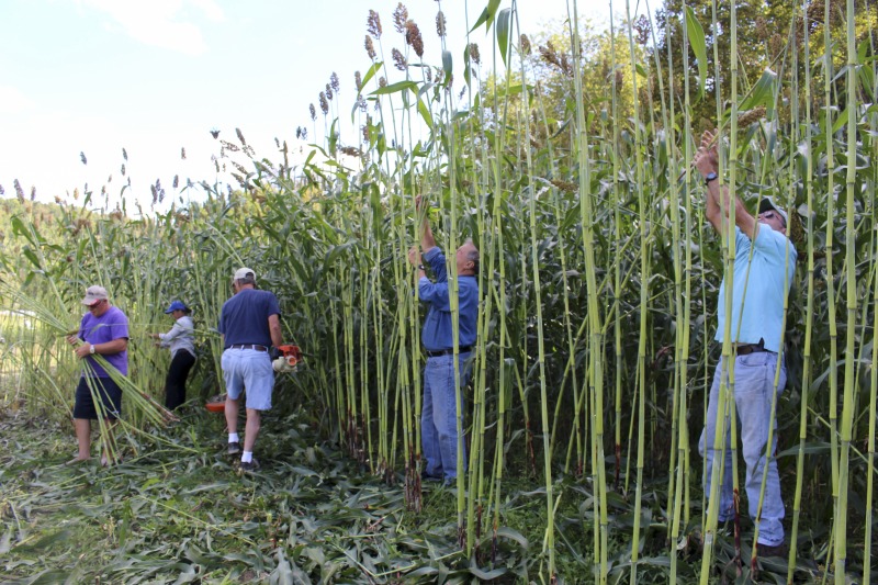 ["Appalachian Acres in Tallmansville, West Virginia, is owned and operated by Donnie Tenney and Lorelie Nicolas-Tenney. On September 28, 2017, they gathered with family and friends, including Nicolas-Tenney's mother Liz Villegas, seedsaver and farmer Charlie Radabaugh (of Radabaugh Farm in Buckhannon, WV), and seedsaver, farmer, and chef Mike Costello (of Lost Creek Farm in Lost Creek, WV), to harvest, process and boil sorghum into syrup."]%