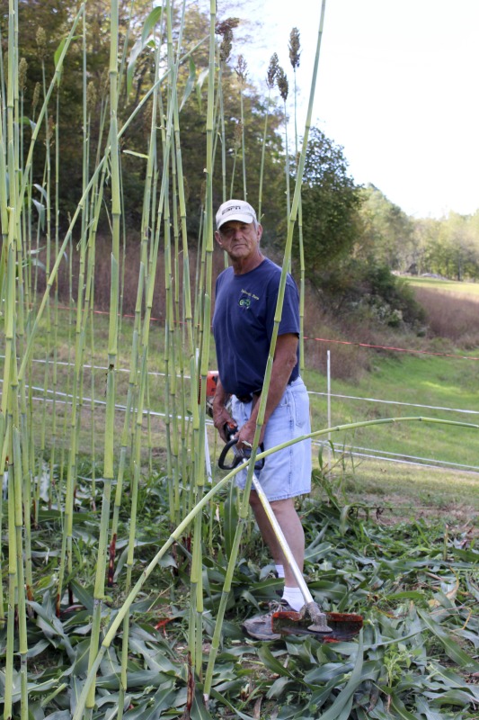 ["Appalachian Acres in Tallmansville, West Virginia, is owned and operated by Donnie Tenney and Lorelie Nicolas-Tenney. On September 28, 2017, they gathered with family and friends, including Nicolas-Tenney's mother Liz Villegas, seedsaver and farmer Charlie Radabaugh (of Radabaugh Farm in Buckhannon, WV), and seedsaver, farmer, and chef Mike Costello (of Lost Creek Farm in Lost Creek, WV), to harvest, process and boil sorghum into syrup."]%