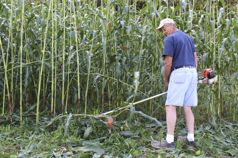 ["Appalachian Acres in Tallmansville, West Virginia, is owned and operated by Donnie Tenney and Lorelie Nicolas-Tenney. On September 28, 2017, they gathered with family and friends, including Nicolas-Tenney's mother Liz Villegas, seedsaver and farmer Charlie Radabaugh (of Radabaugh Farm in Buckhannon, WV), and seedsaver, farmer, and chef Mike Costello (of Lost Creek Farm in Lost Creek, WV), to harvest, process and boil sorghum into syrup."]%