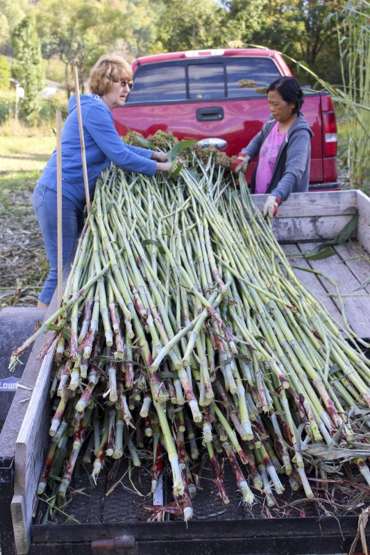 Appalachian Acres in Tallmansville, West Virginia, is owned and operated by Donnie Tenney and Lorelie Nicolas-Tenney. On September 28, 2017, they gathered with family and friends, including Nicolas-Tenney's mother Liz Villegas, seedsaver and farmer Charlie Radabaugh (of Radabaugh Farm in Buckhannon, WV), and seedsaver, farmer, and chef Mike Costello (of Lost Creek Farm in Lost Creek, WV), to harvest, process and boil sorghum into syrup.