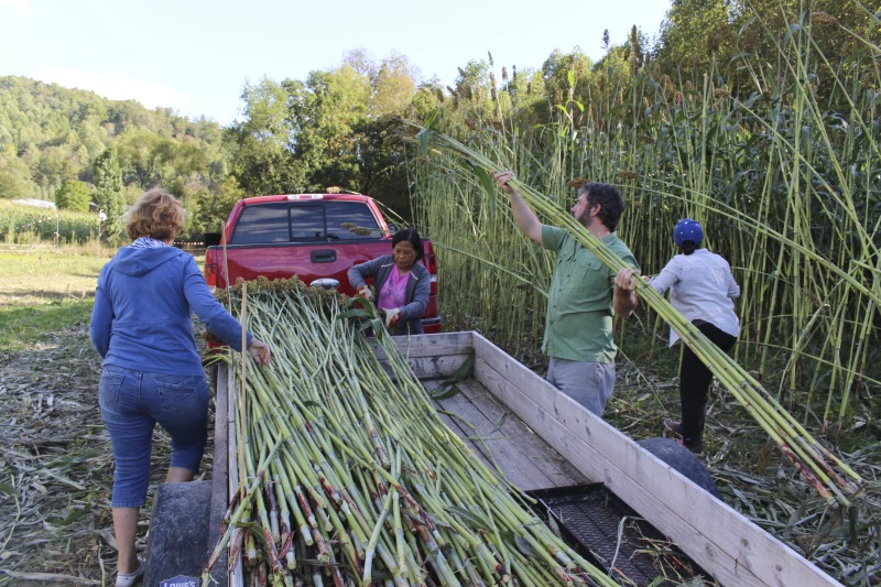 ["Appalachian Acres in Tallmansville, West Virginia, is owned and operated by Donnie Tenney and Lorelie Nicolas-Tenney. On September 28, 2017, they gathered with family and friends, including Nicolas-Tenney's mother Liz Villegas, seedsaver and farmer Charlie Radabaugh (of Radabaugh Farm in Buckhannon, WV), and seedsaver, farmer, and chef Mike Costello (of Lost Creek Farm in Lost Creek, WV), to harvest, process and boil sorghum into syrup."]%