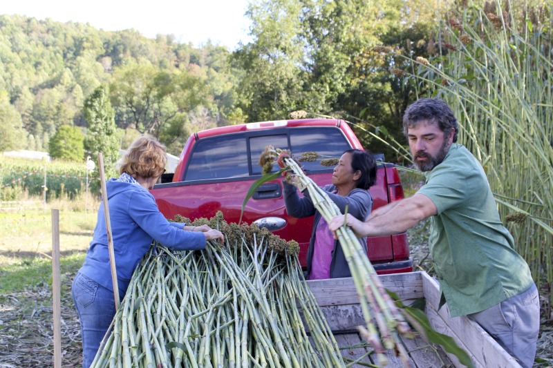 ["Appalachian Acres in Tallmansville, West Virginia, is owned and operated by Donnie Tenney and Lorelie Nicolas-Tenney. On September 28, 2017, they gathered with family and friends, including Nicolas-Tenney's mother Liz Villegas, seedsaver and farmer Charlie Radabaugh (of Radabaugh Farm in Buckhannon, WV), and seedsaver, farmer, and chef Mike Costello (of Lost Creek Farm in Lost Creek, WV), to harvest, process and boil sorghum into syrup."]%