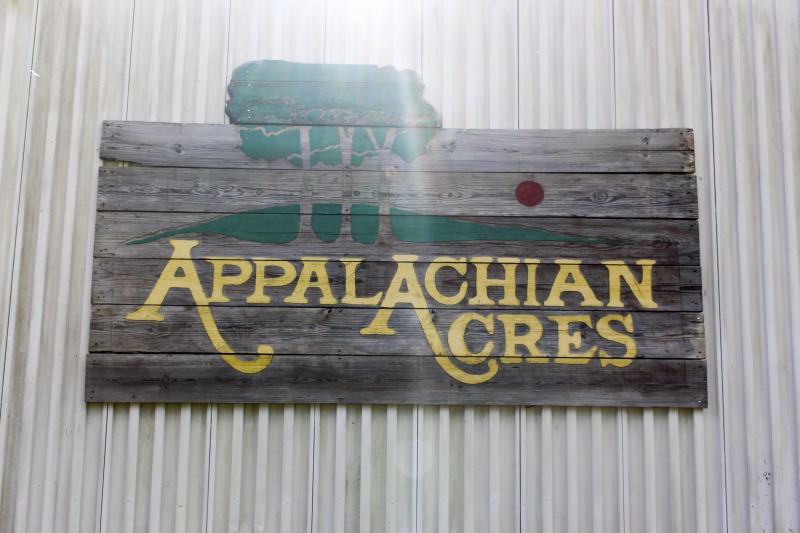 Appalachian Acres in Tallmansville, West Virginia, is owned and operated by Donnie Tenney and Lorelie Nicolas-Tenney. On September 28, 2017, they gathered with family and friends, including Nicolas-Tenney's mother Liz Villegas, seedsaver and farmer Charlie Radabaugh (of Radabaugh Farm in Buckhannon, WV), and seedsaver, farmer, and chef Mike Costello (of Lost Creek Farm in Lost Creek, WV), to harvest, process and boil sorghum into syrup.