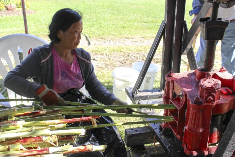 ["Appalachian Acres in Tallmansville, West Virginia, is owned and operated by Donnie Tenney and Lorelie Nicolas-Tenney. On September 28, 2017, they gathered with family and friends, including Nicolas-Tenney's mother Liz Villegas, seedsaver and farmer Charlie Radabaugh (of Radabaugh Farm in Buckhannon, WV), and seedsaver, farmer, and chef Mike Costello (of Lost Creek Farm in Lost Creek, WV), to harvest, process and boil sorghum into syrup."]%