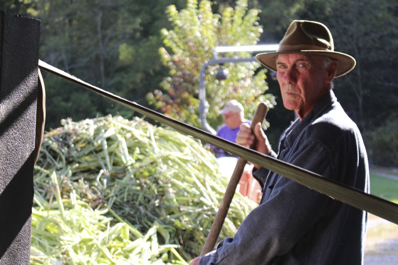 ["Appalachian Acres in Tallmansville, West Virginia, is owned and operated by Donnie Tenney and Lorelie Nicolas-Tenney. On September 28, 2017, they gathered with family and friends, including Nicolas-Tenney's mother Liz Villegas, seedsaver and farmer Charlie Radabaugh (of Radabaugh Farm in Buckhannon, WV), and seedsaver, farmer, and chef Mike Costello (of Lost Creek Farm in Lost Creek, WV), to harvest, process and boil sorghum into syrup."]%