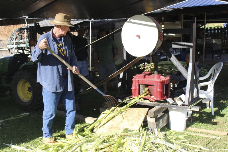 Appalachian Acres in Tallmansville, West Virginia, is owned and operated by Donnie Tenney and Lorelie Nicolas-Tenney. On September 28, 2017, they gathered with family and friends, including Nicolas-Tenney's mother Liz Villegas, seedsaver and farmer Charlie Radabaugh (of Radabaugh Farm in Buckhannon, WV), and seedsaver, farmer, and chef Mike Costello (of Lost Creek Farm in Lost Creek, WV), to harvest, process and boil sorghum into syrup.