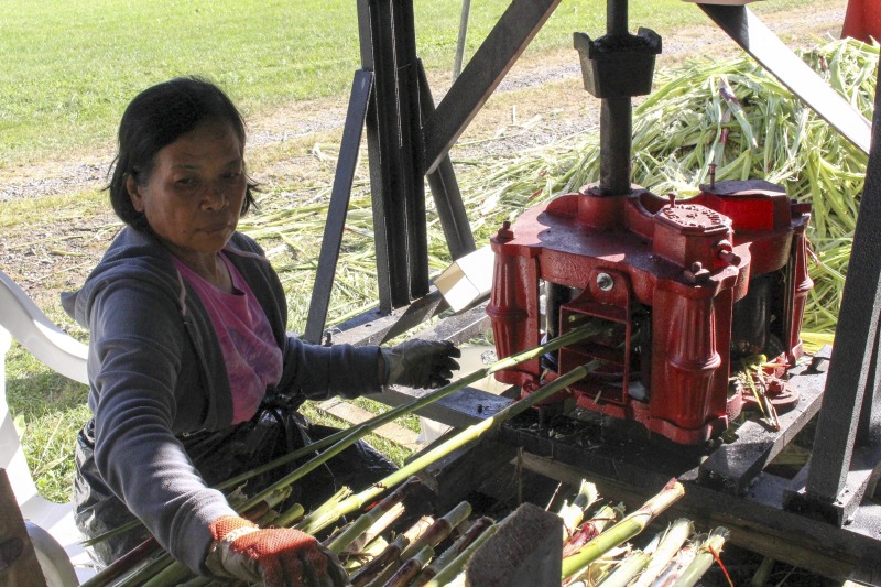 Appalachian Acres in Tallmansville, West Virginia, is owned and operated by Donnie Tenney and Lorelie Nicolas-Tenney. On September 28, 2017, they gathered with family and friends, including Nicolas-Tenney's mother Liz Villegas, seedsaver and farmer Charlie Radabaugh (of Radabaugh Farm in Buckhannon, WV), and seedsaver, farmer, and chef Mike Costello (of Lost Creek Farm in Lost Creek, WV), to harvest, process and boil sorghum into syrup.