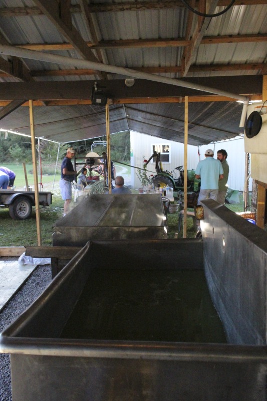 Appalachian Acres in Tallmansville, West Virginia, is owned and operated by Donnie Tenney and Lorelie Nicolas-Tenney. On September 28, 2017, they gathered with family and friends, including Nicolas-Tenney's mother Liz Villegas, seedsaver and farmer Charlie Radabaugh (of Radabaugh Farm in Buckhannon, WV), and seedsaver, farmer, and chef Mike Costello (of Lost Creek Farm in Lost Creek, WV), to harvest, process and boil sorghum into syrup.