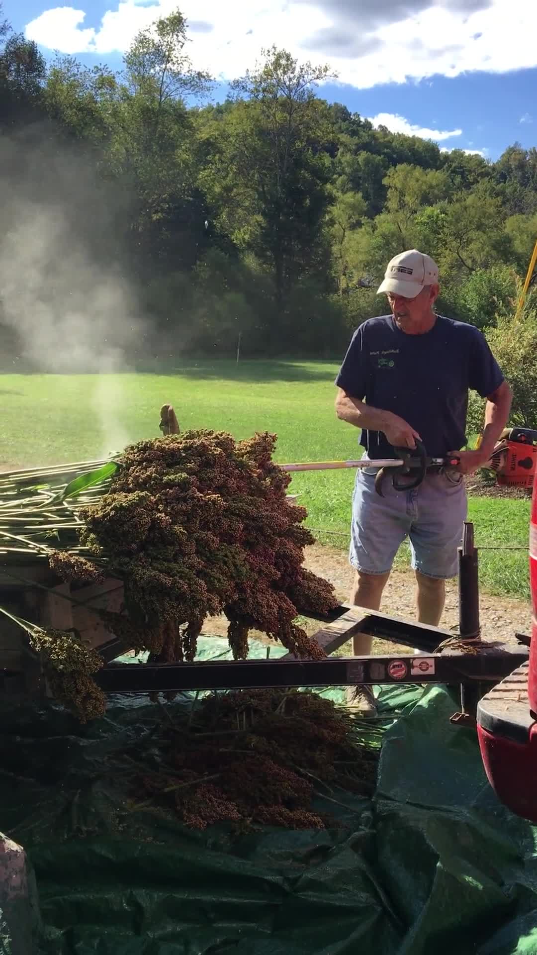 ["Appalachian Acres in Tallmansville, West Virginia, is owned and operated by Donnie Tenney and Lorelie Nicolas-Tenney. On September 28, 2017, they gathered with family and friends, including Nicolas-Tenney's mother Liz Villegas, seedsaver and farmer Charlie Radabaugh (of Radabaugh Farm in Buckhannon, WV), and seedsaver, farmer, and chef Mike Costello (of Lost Creek Farm in Lost Creek, WV), to harvest, process and boil sorghum into syrup."]%