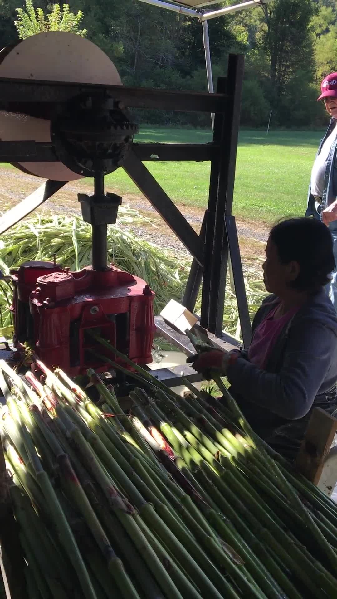 ["Appalachian Acres in Tallmansville, West Virginia, is owned and operated by Donnie Tenney and Lorelie Nicolas-Tenney. On September 28, 2017, they gathered with family and friends, including Nicolas-Tenney's mother Liz Villegas, seedsaver and farmer Charlie Radabaugh (of Radabaugh Farm in Buckhannon, WV), and seedsaver, farmer, and chef Mike Costello (of Lost Creek Farm in Lost Creek, WV), to harvest, process and boil sorghum into syrup."]%