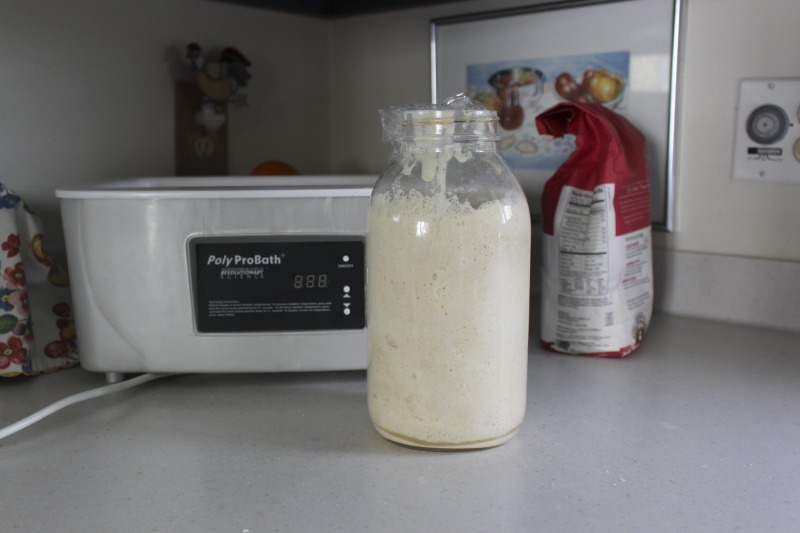 ["Genevieve (Jenny) Bardwell and Susan Ray Brown of Mount Morris, Pennsylvania led an apprenticeship in salt rising bread with Amy Dawson of Lost Creek, West Virginia as part of the 2018 West Virginia Folklife Apprenticeship Program, supported in part by the National Endowment for the Arts. Master salt rising bread baker Genevieve (Jenny) Bardwell holds an A.S. in culinary arts from the Culinary Institute of America, and a B.S. and M.S. in plant pathology from the University of Massachusetts. Jenny is the co-author of Salt Rising Bread: Recipes and Heartfelt Stories of a Nearly Lost Appalachian Tradition and was the co-founder of Rising Creek Bakery in Mount Morris, Pennsylvania, both with Susan Ray Brown. Jenny has engaged in a deep, decades-long study of the unique labor-intensive Appalachian bread, focusing particularly on the scientific process and researching analog breads in other cultures. In 2017, she was awarded a Folk and Traditional Arts Apprenticeship Grant from the Pennsylvania Council of the Arts to lead a salt rising bread apprenticeship with baker Antonio Archer and in 2018, she was awarded an Folklife Apprenticeship Grant from the West Virginia Folklife Program with fellow baker Susan Ray Brown and apprentice Amy Dawson.Master salt rising bread baker Susan Ray Brown grew up in southern West Virginia, and her family roots go back nearly 300 years in her beloved Mountain State. She holds a B.A. in sociology/anthropology from West Virginia University. Susan is the co-author of Salt Rising Bread: Recipes and Heartfelt Stories of a Nearly Lost Appalachian Tradition and was the co-founder of Rising Creek Bakery in Mount Morris, PA, both with Jenny Bardwell. Susan has engaged in a deep, decades-long study of the unique labor-intensive Appalachian bread, recording oral histories, gathering recipes, conducting scientific studies, and constantly experimenting through her own baking. Find more on her website at www.saltrisingbread.net.Amy Dawson is a native of Lost Creek, West Virginia. She holds a B.S. in geology from West Virginia University and a J.D. from the College of Law at West Virginia University. She manages and co-owns Lost Creek Farm with her partner Mike Costello, hosting travelling kitchen/pop-up dinner events around the greater Appalachian region. In 2018, Lost Creek Farm was featured on CNNs Parts Unknown with Anthony Bourdain.See our feature on Bardwell and Browns apprenticeship with Dawson here: https://wvfolklife.org/2018/11/12/2018-master-artists-apprentice-feature-genevieve-bardwell-susan-ray-brown-amy-dawson-salt-rising-bread/"]%