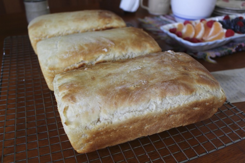 ["Genevieve (Jenny) Bardwell and Susan Ray Brown of Mount Morris, Pennsylvania led an apprenticeship in salt rising bread with Amy Dawson of Lost Creek, West Virginia as part of the 2018 West Virginia Folklife Apprenticeship Program, supported in part by the National Endowment for the Arts. Master salt rising bread baker Genevieve (Jenny) Bardwell holds an A.S. in culinary arts from the Culinary Institute of America, and a B.S. and M.S. in plant pathology from the University of Massachusetts. Jenny is the co-author of Salt Rising Bread: Recipes and Heartfelt Stories of a Nearly Lost Appalachian Tradition and was the co-founder of Rising Creek Bakery in Mount Morris, Pennsylvania, both with Susan Ray Brown. Jenny has engaged in a deep, decades-long study of the unique labor-intensive Appalachian bread, focusing particularly on the scientific process and researching analog breads in other cultures. In 2017, she was awarded a Folk and Traditional Arts Apprenticeship Grant from the Pennsylvania Council of the Arts to lead a salt rising bread apprenticeship with baker Antonio Archer and in 2018, she was awarded an Folklife Apprenticeship Grant from the West Virginia Folklife Program with fellow baker Susan Ray Brown and apprentice Amy Dawson.Master salt rising bread baker Susan Ray Brown grew up in southern West Virginia, and her family roots go back nearly 300 years in her beloved Mountain State. She holds a B.A. in sociology/anthropology from West Virginia University. Susan is the co-author of Salt Rising Bread: Recipes and Heartfelt Stories of a Nearly Lost Appalachian Tradition and was the co-founder of Rising Creek Bakery in Mount Morris, PA, both with Jenny Bardwell. Susan has engaged in a deep, decades-long study of the unique labor-intensive Appalachian bread, recording oral histories, gathering recipes, conducting scientific studies, and constantly experimenting through her own baking. Find more on her website at www.saltrisingbread.net.Amy Dawson is a native of Lost Creek, West Virginia. She holds a B.S. in geology from West Virginia University and a J.D. from the College of Law at West Virginia University. She manages and co-owns Lost Creek Farm with her partner Mike Costello, hosting travelling kitchen/pop-up dinner events around the greater Appalachian region. In 2018, Lost Creek Farm was featured on CNNs Parts Unknown with Anthony Bourdain.See our feature on Bardwell and Browns apprenticeship with Dawson here: https://wvfolklife.org/2018/11/12/2018-master-artists-apprentice-feature-genevieve-bardwell-susan-ray-brown-amy-dawson-salt-rising-bread/"]%