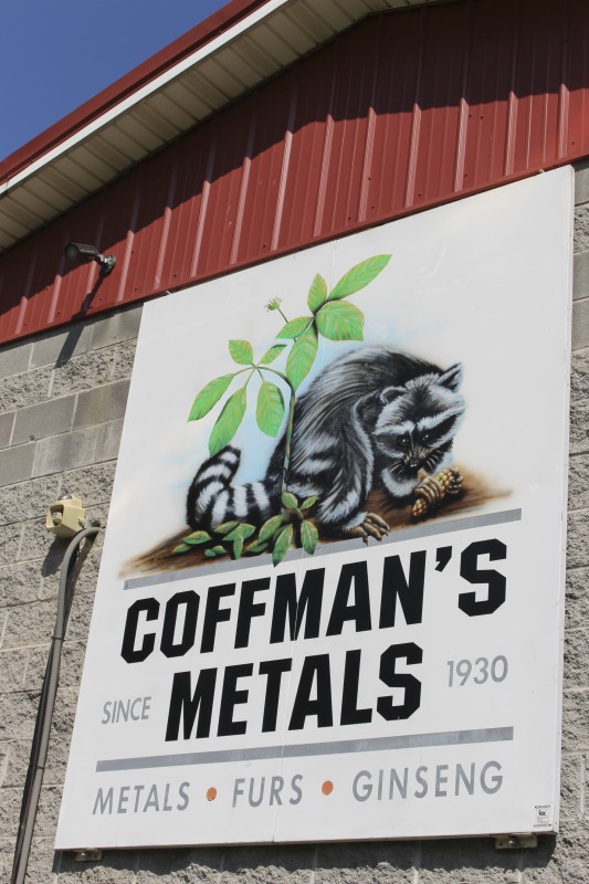 Tony Coffman is the owner of Coffmans Metals, LLC in Birch River, West Virginia, which specializing in the buying and selling of ginseng and other wild herbs and roots, scrap metal, recyclables, and furs. A licensed ginseng dealer, Coffman began digging ginseng when he was a teenager for extra pocket money. Coffman inherited the business in 1987 from his grandfather Guy Coffman.These photos and related interviews were conducted in collaboration with the Smithsonian Folklife Festivals 2020 festival program on American ginseng. Learn more: https://festival.si.edu/blog/west-virginia-ginseng-trade