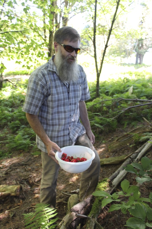 ["A ginseng digger and cultivator since he was young, Ed Daniels and his wife Carole own and operate Shady Grove Farm in Randolph County where they grow ginseng, goldenseal, ramps, cohosh, and industrial hemp, among other plants. In this interview, Ed and Carole talk about their forest farming and seed saving practice, the hopes for their farm, and Eds family tradition of medicinal herbs. Ed Daniels is a 2020-2021 participant in the West Virginia Folklife Apprenticeship Program, leading an apprenticeship with Clara Haizlett of Wellsburg. Learn more: https://wvfolklife.org/2020/10/21/2020-folklife-apprenticeship-feature-ed-daniels-clara-haizlett-agroforestry-forest-farming/Shady Grove Botanicals: https://www.shadygrovebotanicals.com/"]%