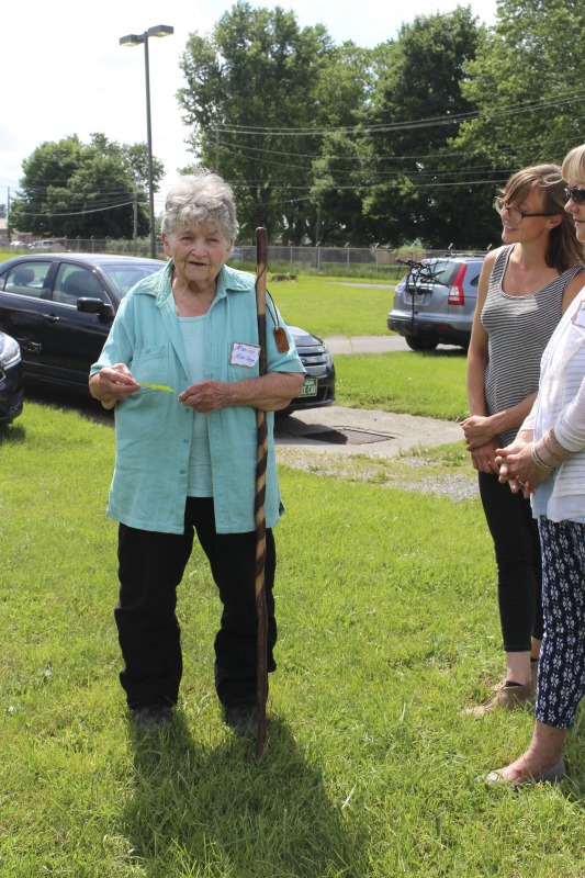 ["Herbarist [herbalist] Marion Harless of Kerens, West Virginia, is a co-founder of the Mountain State Organic Growers and Buyers Association and the West Virginia Herb Association, and has taught widely on medicinal herbs, edible landscaping, and native plants. Harless led a 2018 apprenticeship in green traditions with Kara Vaneck of Weston as part of the 2018 West Virginia Folklife Apprenticeship Program, supported in part by the National Endowment for the Arts. Read our feature on Harless apprenticeship with Vaneck here: https://wvfolklife.org/2018/12/20/2018-master-artist-apprentice-feature-marion-harless-kara-vaneck-green-traditions/Read Emily Hilliards article on Marion Harless here and in the Spring 2019 issue of Goldenseal Magazine: https://wvfolklife.org/2019/03/22/the-state-folklorists-notebook-people-need-to-know-about-plants-herbarist-marion-harless/"]%