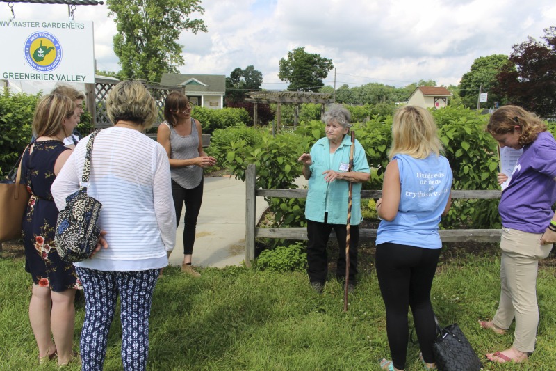 Herbarist [herbalist] Marion Harless of Kerens, West Virginia, is a co-founder of the Mountain State Organic Growers and Buyers Association and the West Virginia Herb Association, and has taught widely on medicinal herbs, edible landscaping, and native plants. Harless led a 2018 apprenticeship in green traditions with Kara Vaneck of Weston as part of the 2018 West Virginia Folklife Apprenticeship Program, supported in part by the National Endowment for the Arts. Read our feature on Harless apprenticeship with Vaneck here: https://wvfolklife.org/2018/12/20/2018-master-artist-apprentice-feature-marion-harless-kara-vaneck-green-traditions/Read Emily Hilliards article on Marion Harless here and in the Spring 2019 issue of Goldenseal Magazine: https://wvfolklife.org/2019/03/22/the-state-folklorists-notebook-people-need-to-know-about-plants-herbarist-marion-harless/