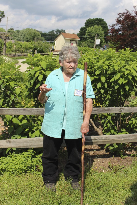 ["Herbarist [herbalist] Marion Harless of Kerens, West Virginia, is a co-founder of the Mountain State Organic Growers and Buyers Association and the West Virginia Herb Association, and has taught widely on medicinal herbs, edible landscaping, and native plants. Harless led a 2018 apprenticeship in green traditions with Kara Vaneck of Weston as part of the 2018 West Virginia Folklife Apprenticeship Program, supported in part by the National Endowment for the Arts. Read our feature on Harless apprenticeship with Vaneck here: https://wvfolklife.org/2018/12/20/2018-master-artist-apprentice-feature-marion-harless-kara-vaneck-green-traditions/Read Emily Hilliards article on Marion Harless here and in the Spring 2019 issue of Goldenseal Magazine: https://wvfolklife.org/2019/03/22/the-state-folklorists-notebook-people-need-to-know-about-plants-herbarist-marion-harless/"]%