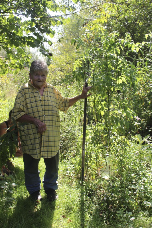 Marion Harless of Kerens led a 2018 apprenticeship in green traditions with Kara Vaneck of Weston as part of the 2018 West Virginia Folklife Apprenticeship Program, supported in part by the National Endowment for the Arts. Harless is a co-founder of the Mountain State Organic Growers and Buyers Association and the West Virginia Herb Association, and has taught widely on medicinal herbs, edible landscaping, and native plants. Vaneck is the owner of Smoke Camp Crafts and has served as vice president and treasurer of the West Virginia Herb Association.Read our feature on Harless apprenticeship with Vaneck here: https://wvfolklife.org/2018/12/20/2018-master-artist-apprentice-feature-marion-harless-kara-vaneck-green-traditions/Read Emily Hilliards article on Marion Harless here and in the Spring 2019 issue of Goldenseal Magazine: https://wvfolklife.org/2019/03/22/the-state-folklorists-notebook-people-need-to-know-about-plants-herbarist-marion-harless/