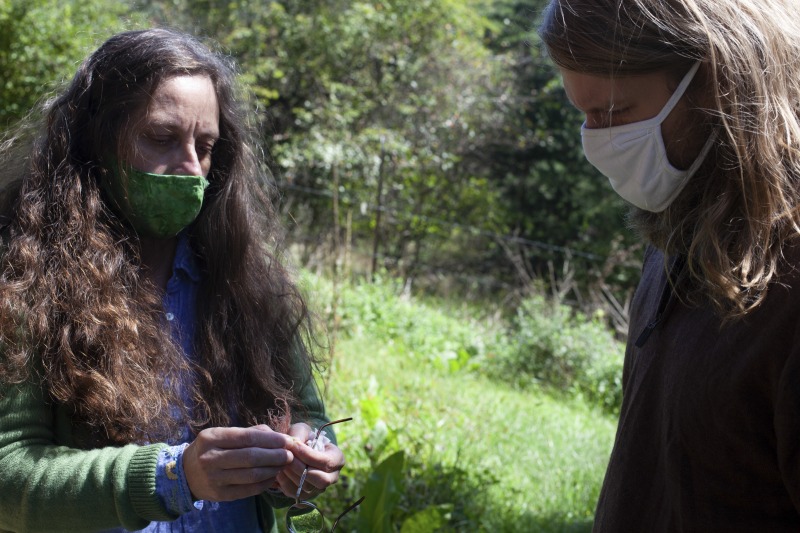 Leenie Hobbie of Rio in Hampshire County and Jon Falcone of Lost River in Hardy County were participants in the 2020-2021 West Virginia Folklife Apprenticeship Program. Hobbie led an apprenticeship in traditional Appalachian herbalism Falcone. Hobbie has been a family herbalist for over 30 years, originally learning the tradition from her grandmother, who used both garden-grown and wild harvested plants at her home in the mountains of Southwestern Virginia. She has studied with acclaimed herbalists across the country and has taught the tradition within her community in Hampshire County. Falcone is a novice herbalist who hopes to apply his skills to his future homestead in West Virginia.See our feature on Falcones apprenticeship with Hobbie here: https://wvfolklife.org/2020/10/26/2020-folklife-apprenticeship-feature-leenie-hobbie-jon-falcone-traditional-appalachian-herbalism/The West Virginia Folklife Apprenticeship Program offers up to a $3,000 stipend to West Virginia master traditional artists or tradition bearers working with qualified apprentices on a year-long in-depth apprenticeship in their cultural expression or traditional art form. These apprenticeships aim to facilitate the transmission of techniques and artistry of the forms, as well as their histories and traditions.The apprenticeship program grants are administered by the West Virginia Folklife Program at the West Virginia Humanities Council in Charleston and are supported in part by an Art Works grant from the National Endowment for the Arts. West Virginia Folklife is dedicated to the documentation, preservation, presentation, and support of West Virginias vibrant cultural heritage and living traditions.