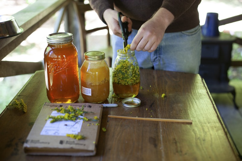 ["Leenie Hobbie of Rio in Hampshire County and Jon Falcone of Lost River in Hardy County were participants in the 2020-2021 West Virginia Folklife Apprenticeship Program. Hobbie led an apprenticeship in traditional Appalachian herbalism Falcone. Hobbie has been a family herbalist for over 30 years, originally learning the tradition from her grandmother, who used both garden-grown and wild harvested plants at her home in the mountains of Southwestern Virginia. She has studied with acclaimed herbalists across the country and has taught the tradition within her community in Hampshire County. Falcone is a novice herbalist who hopes to apply his skills to his future homestead in West Virginia.See our feature on Falcones apprenticeship with Hobbie here: https://wvfolklife.org/2020/10/26/2020-folklife-apprenticeship-feature-leenie-hobbie-jon-falcone-traditional-appalachian-herbalism/The West Virginia Folklife Apprenticeship Program offers up to a $3,000 stipend to West Virginia master traditional artists or tradition bearers working with qualified apprentices on a year-long in-depth apprenticeship in their cultural expression or traditional art form. These apprenticeships aim to facilitate the transmission of techniques and artistry of the forms, as well as their histories and traditions.The apprenticeship program grants are administered by the West Virginia Folklife Program at the West Virginia Humanities Council in Charleston and are supported in part by an Art Works grant from the National Endowment for the Arts. West Virginia Folklife is dedicated to the documentation, preservation, presentation, and support of West Virginias vibrant cultural heritage and living traditions."]%