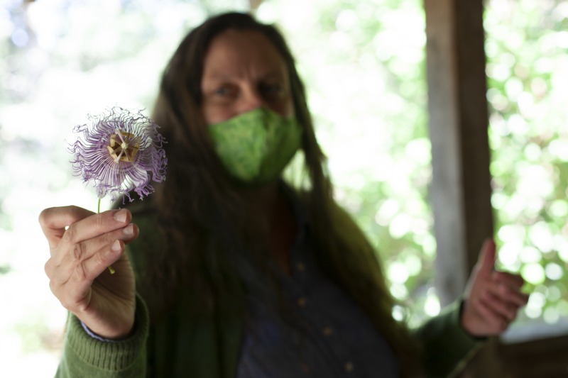 ["Leenie Hobbie of Rio in Hampshire County and Jon Falcone of Lost River in Hardy County were participants in the 2020-2021 West Virginia Folklife Apprenticeship Program. Hobbie led an apprenticeship in traditional Appalachian herbalism Falcone. Hobbie has been a family herbalist for over 30 years, originally learning the tradition from her grandmother, who used both garden-grown and wild harvested plants at her home in the mountains of Southwestern Virginia. She has studied with acclaimed herbalists across the country and has taught the tradition within her community in Hampshire County. Falcone is a novice herbalist who hopes to apply his skills to his future homestead in West Virginia.See our feature on Falcones apprenticeship with Hobbie here: https://wvfolklife.org/2020/10/26/2020-folklife-apprenticeship-feature-leenie-hobbie-jon-falcone-traditional-appalachian-herbalism/The West Virginia Folklife Apprenticeship Program offers up to a $3,000 stipend to West Virginia master traditional artists or tradition bearers working with qualified apprentices on a year-long in-depth apprenticeship in their cultural expression or traditional art form. These apprenticeships aim to facilitate the transmission of techniques and artistry of the forms, as well as their histories and traditions.The apprenticeship program grants are administered by the West Virginia Folklife Program at the West Virginia Humanities Council in Charleston and are supported in part by an Art Works grant from the National Endowment for the Arts. West Virginia Folklife is dedicated to the documentation, preservation, presentation, and support of West Virginias vibrant cultural heritage and living traditions."]%