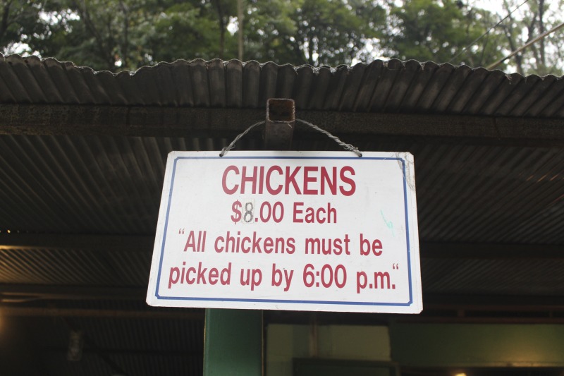 Every summer Wednesday since 1969, members of the Serbian Eastern Orthodox Church Mens Club have hosted a Chicken Blast at the Serbian Picnic Grounds along Kings Creek outside of Weirton, West Virginia. They roast 300-400 chickens per week as a fundraiser for the maintenance of the picnic grounds. The spits, an industrial brick oven, and walk-in coolers were constructed in the 1960s out of material from Weirton Steel by Mens Club members, most of whom were Weirton Steel employees. Each week, the choir also sells pogacha (a type of Serbian bread), haluski or cabbage and noodles, corn on the cob, strudel and other desserts. The bar at the picnic grounds is also open, serving beer and Slivovitz.See the short video and audio documentary about the Chicken Blasts, produced by the West Virginia Folklife Program and West Virginia Public Broadcasting: https://wvfolklife.org/2020/01/27/weirtons-serbian-heritage-is-a-chicken-blast/ https://www.youtube.com/watch?v=XpGF-MFUlhYhttps://soundcloud.com/wvpublicnews/weirtons-serbian-heritage-is-a-chicken-blast