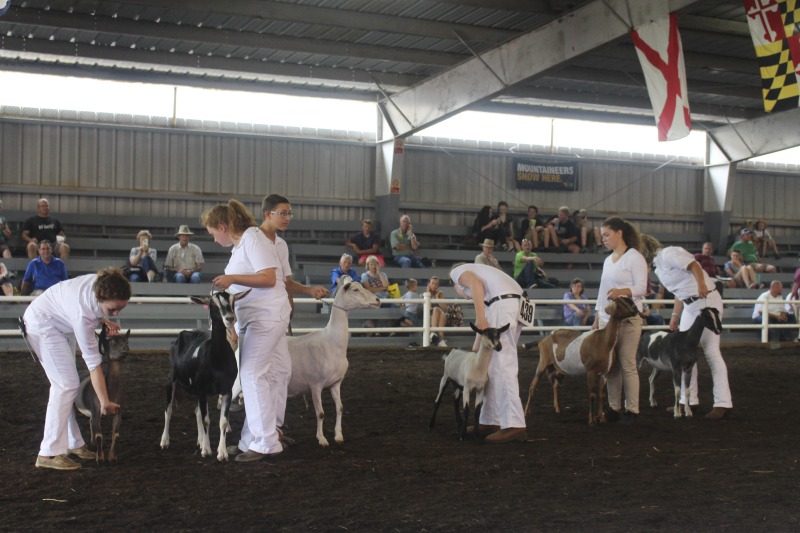 ["Documentation of folklore, foodways, and material culture on display at the 2016 West Virginia State Fair in Lewisburg."]%