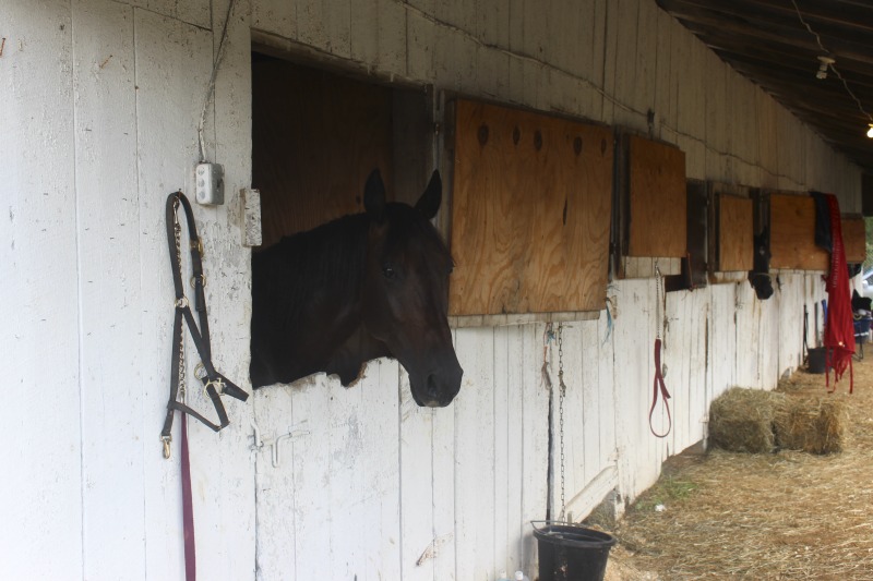 ["Documentation of folklore, foodways, and material culture on display at the 2016 West Virginia State Fair in Lewisburg."]%