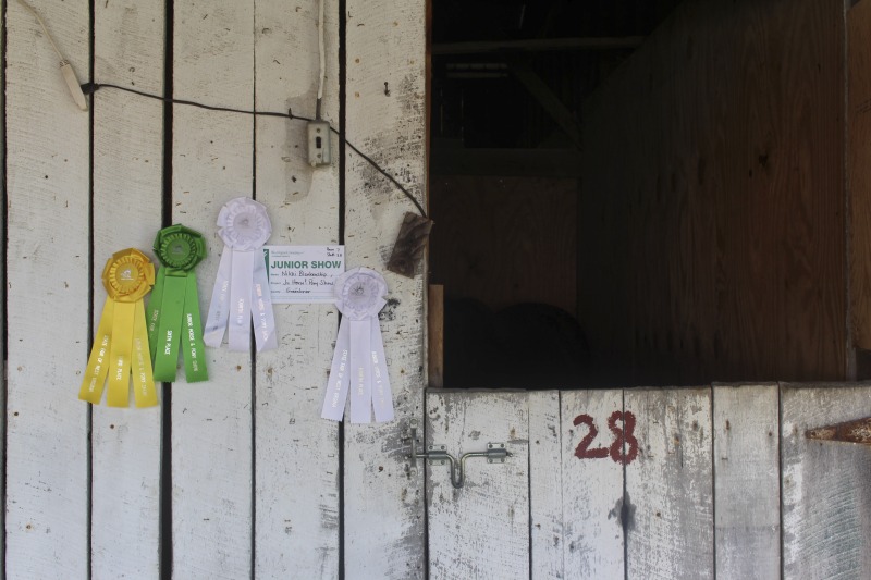 Documentation of folklore, foodways, and material culture on display at the 2016 West Virginia State Fair in Lewisburg.