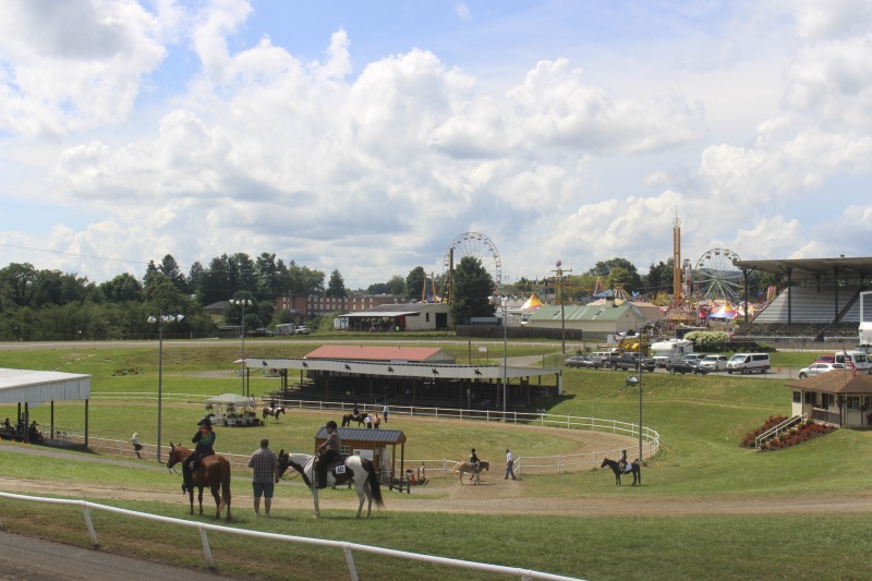 Documentation of folklore, foodways, and material culture on display at the 2016 West Virginia State Fair in Lewisburg.